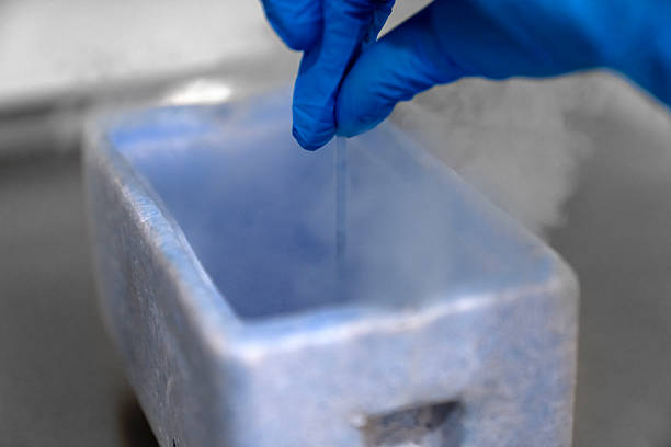 Egg (oocyte) freezing - Available in Nigeria Only